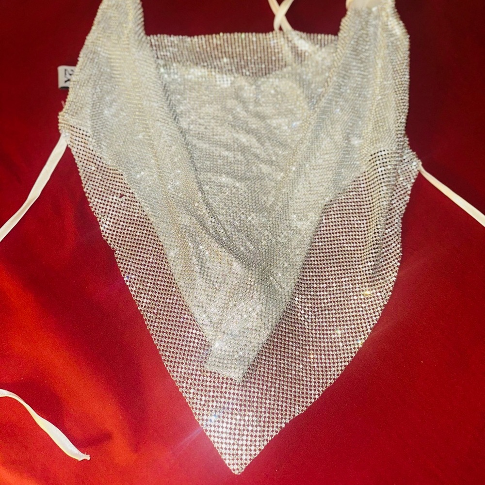 Silver Mesh Crop Top